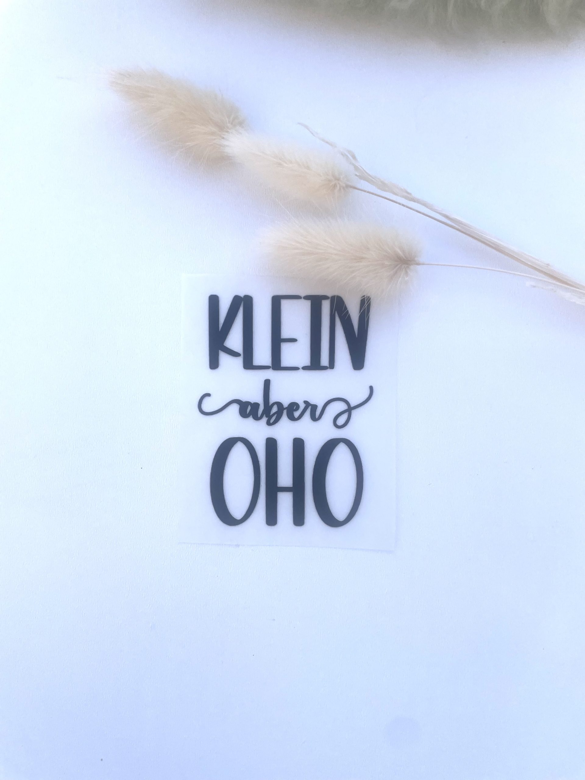 Bügelbild klein aber OHO