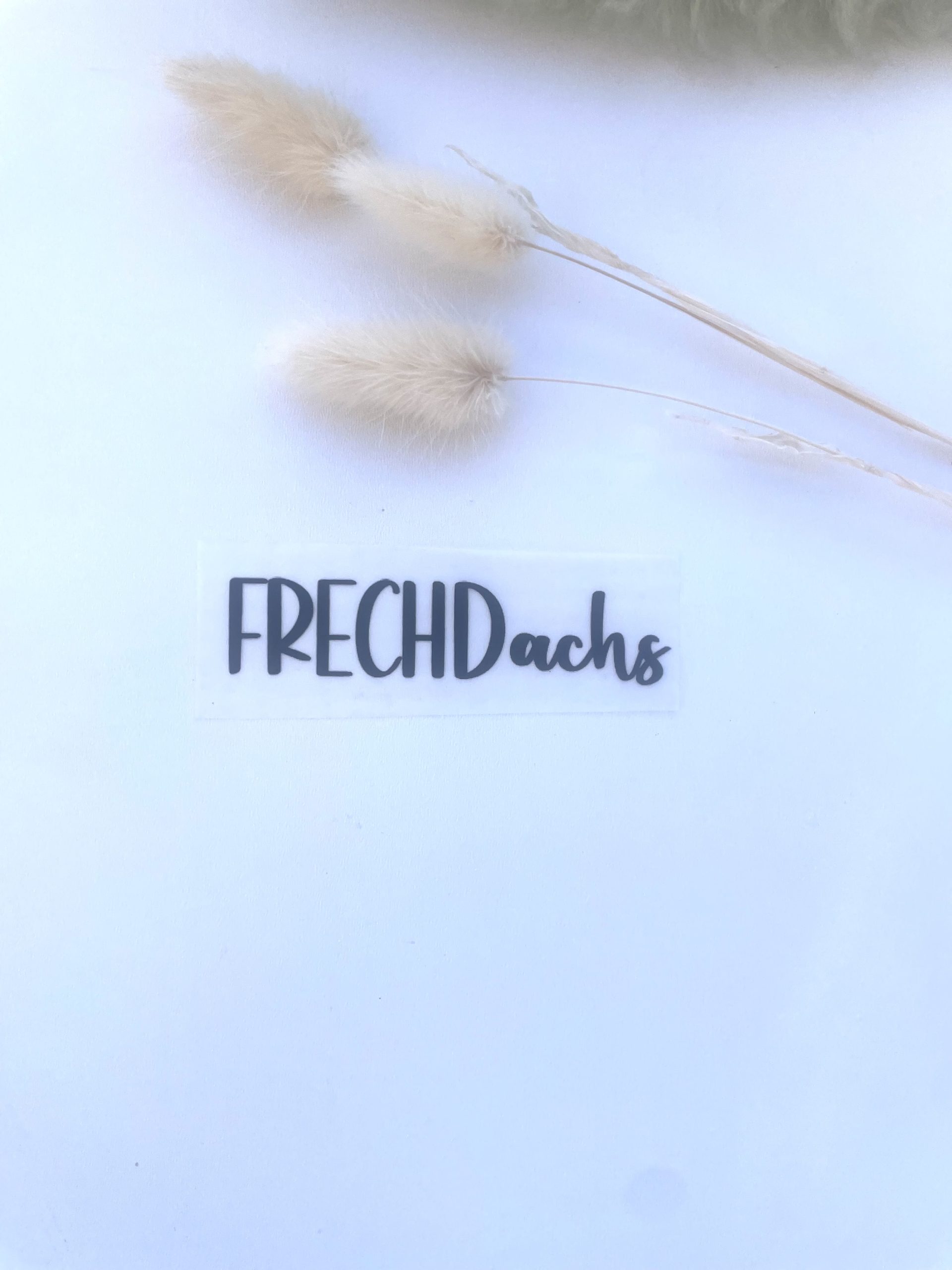 Bügelbild Frech Dachs